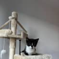 Photo of Lucien 