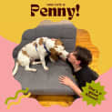 Photo of Penny!!🐶🧡