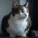 Photo of Spike Junior