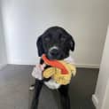 Photo of Spanner