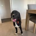 Photo of Spanner