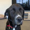 Photo of Spanner