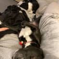 Photo of Spanner