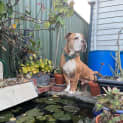 Photo of Bosley