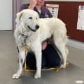Photo of Polly