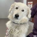 Photo of Polly