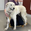 Photo of Polly