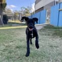 Photo of Xena