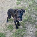 Photo of Xena