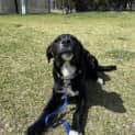 Photo of Mavis
