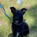 Photo of Luna
