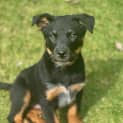 Photo of Bentley