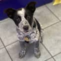 Photo of Winnie