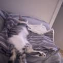 Photo of Felicia