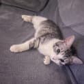 Photo of Felicia