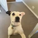Photo of Keisha