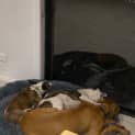 Photo of Keisha