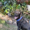 Photo of Buster