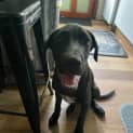 Photo of Buster
