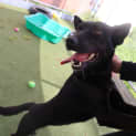 Photo of Betty