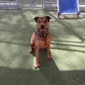 Photo of Sundae