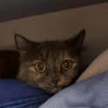 Photo of Storm