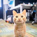 Photo of Mr G