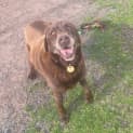 Photo of Bob