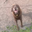 Photo of Bob