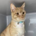 Photo of Ralphie
