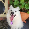Photo of Kindee