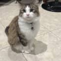 Photo of Lucy