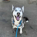 Photo of Diva