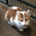Photo of Flynn