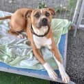 Photo of Xena