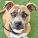 Photo of Xena