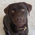 Photo of Murphy