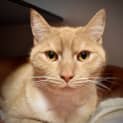 Photo of Ralphie