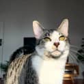 Photo of Mikka