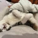 Photo of Mikka