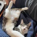 Photo of Mikka