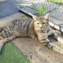 Photo of Thalia