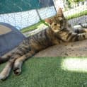 Photo of Thalia