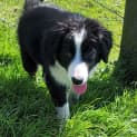 Photo of Flynn