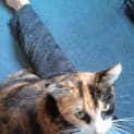 Photo of Daisy