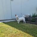 Photo of Leroy
