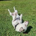 Photo of Leroy