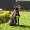 Photo of Vinnie