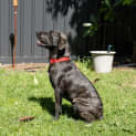 Photo of Vinnie