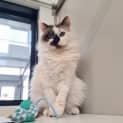 Photo of Lucy